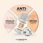 MELENA DE LEON FORTIFICADA 60 CAP 1000 MG